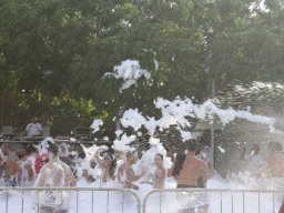 XVII Concentracion - 2010